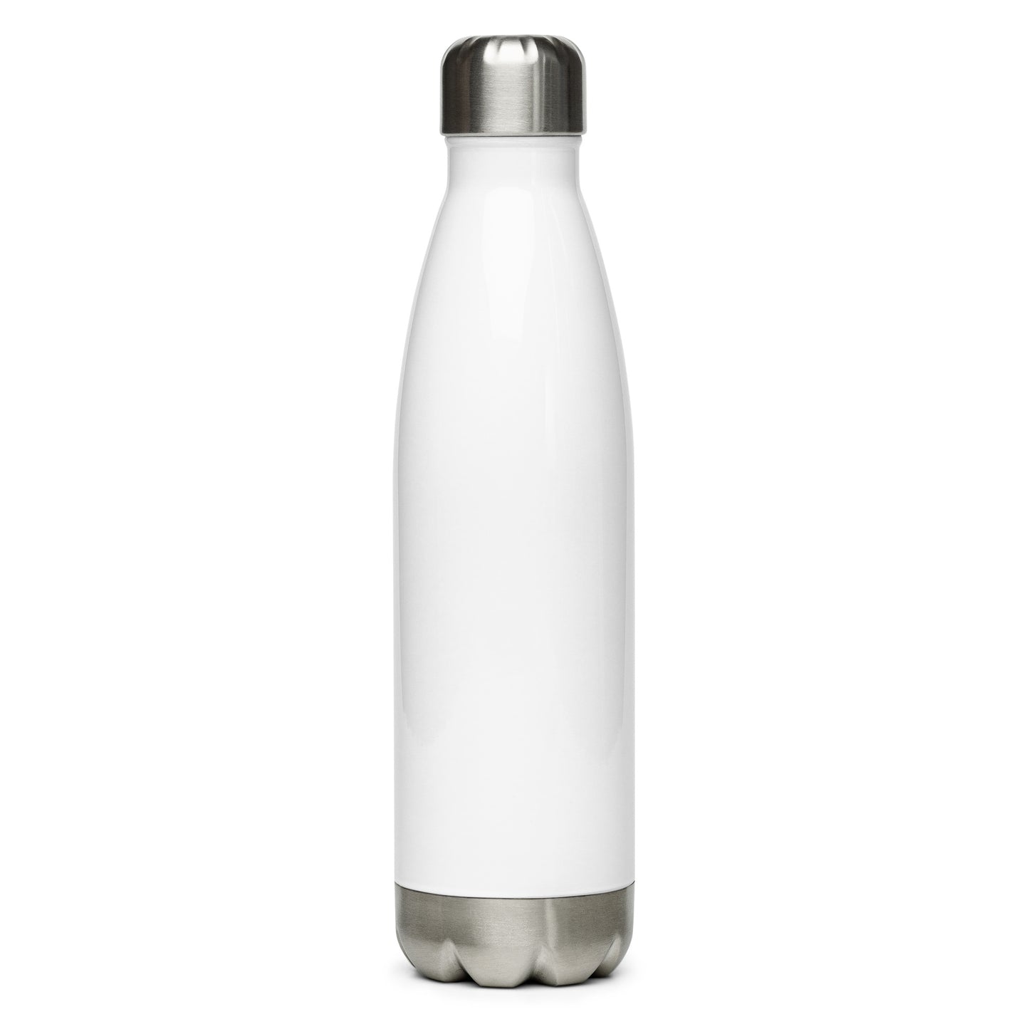 Stainless Steel Water Bottle - Own it!