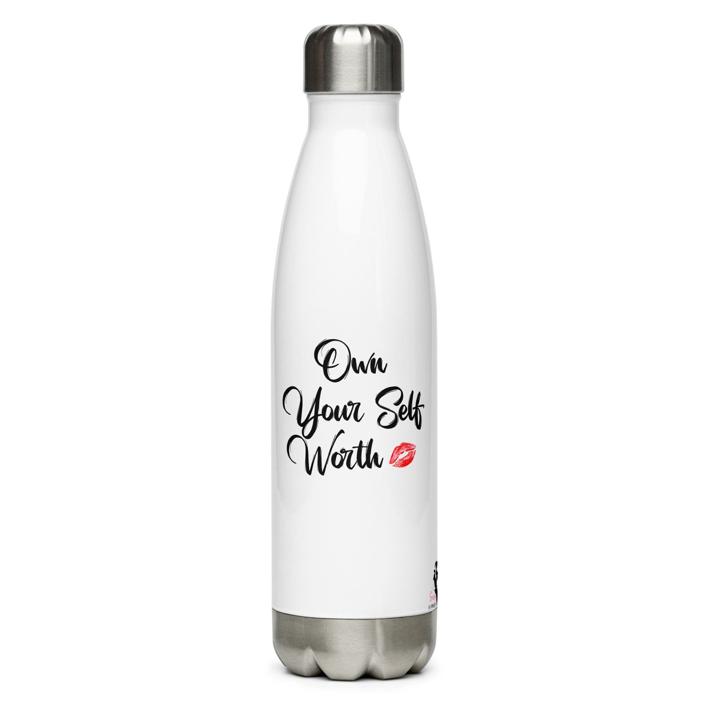 Stainless Steel Water Bottle - Own it!
